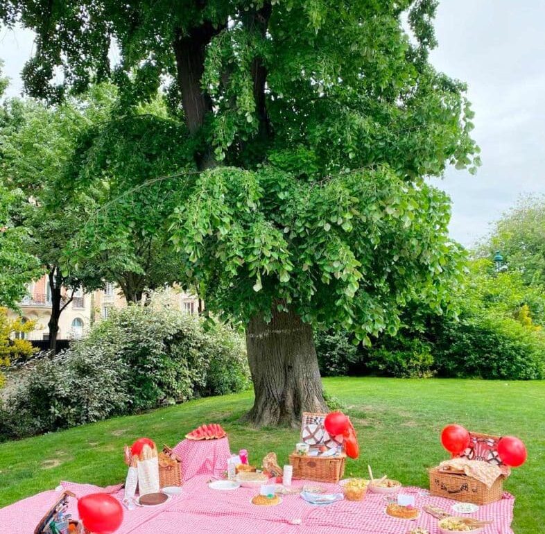 Eiffel picnic