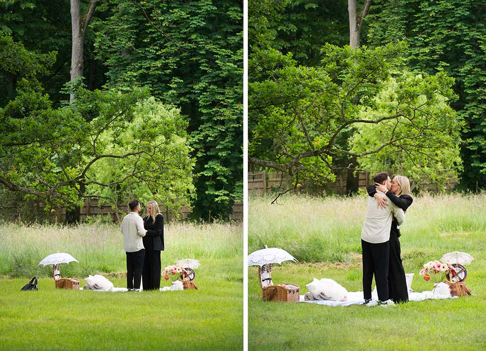 versailles engagement A Unique Versailles Proposal