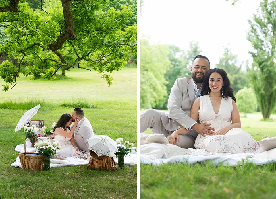 Paris engagement picnic